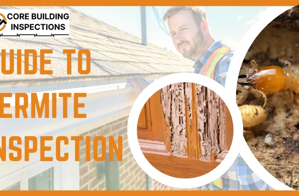 Guide to Termite Inspection