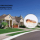 Found Termites in a Pre-Purchase Inspection? What to Do Next