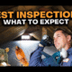 Pest Inspection Service 101: What to Expect During an Inspection