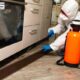 pre-purchase building and pest inspections: Hidden Flaws