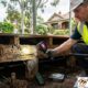 Common Pest Problems Found in Melbourne Properties