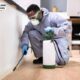 Protect Your Home with Termite and Pest Inspection Melbourne