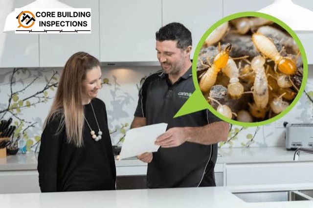 Why Choose Termite and Pest Inspection Services Melbourne