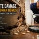 Termite Damage in Victorian Homes: Why Early Inspection Matters