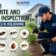 Top 8 Termite and Pest Inspection Services In Melbourne