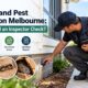 Termite and Pest Inspection Melbourne: What Should an Inspector Check?